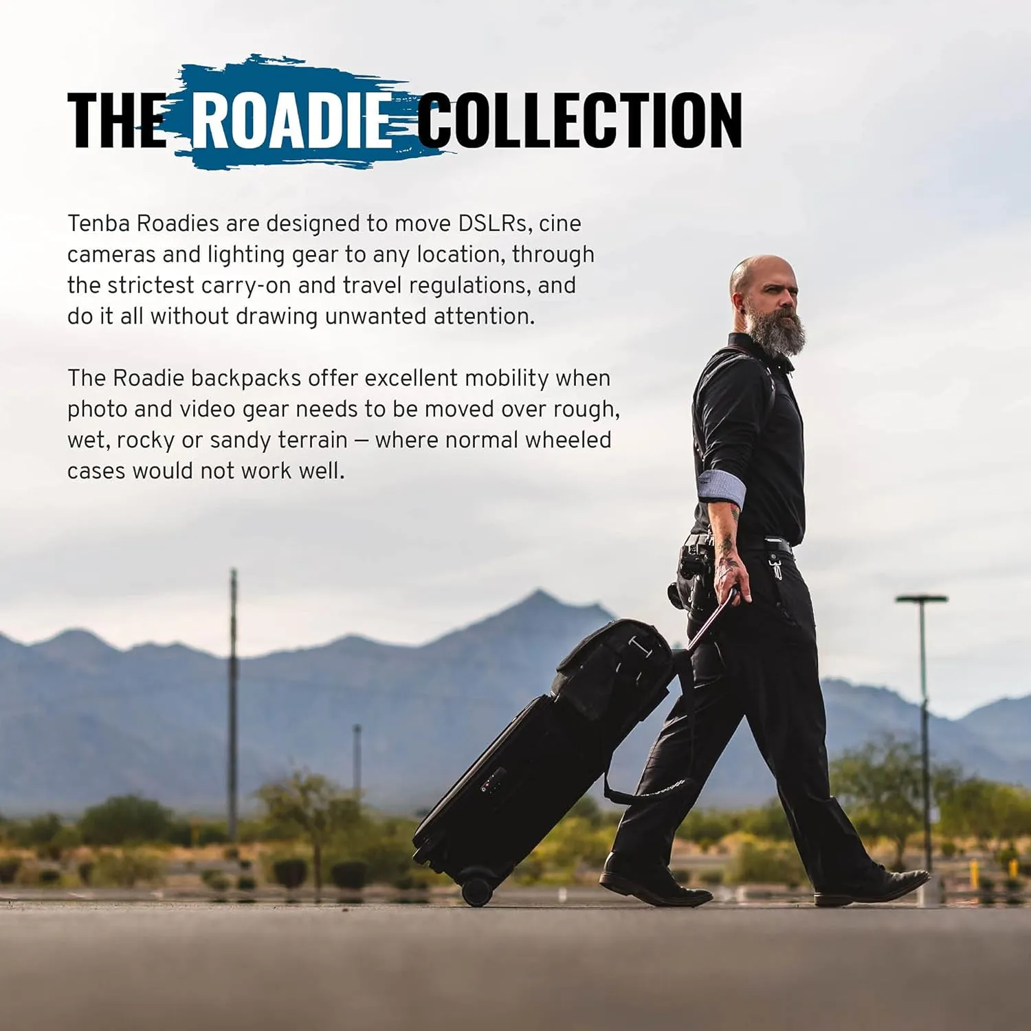 Tenba Roadie Backpack 20 Camera Case, Multi-Color (638-721)