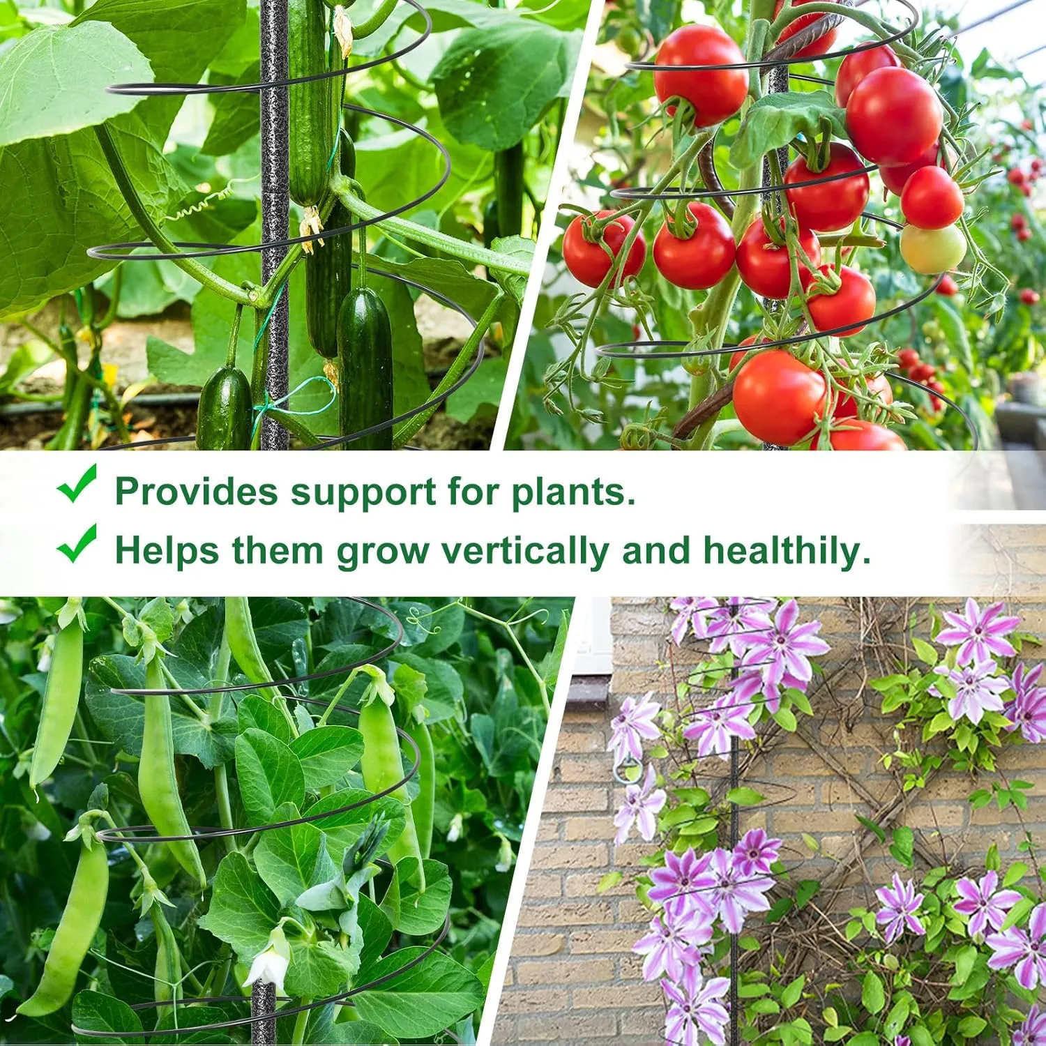 Tomato Cage, 45" Trellis for Climbing Plants Indoor Outdoor, Garden Trellis with Poles Adjustable, Metal Tomato Plant Support for Vegetables Bean Cucumber Climbing Plant Growing Rose Trellis