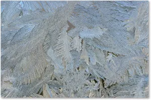 Trademark Fine Art 'Frost Pattern No.5' Canvas Art by Kurt Shaffer, 12 by 19-Inch
