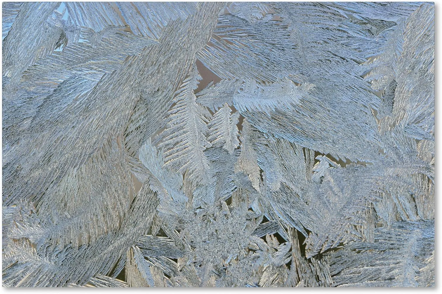 Trademark Fine Art 'Frost Pattern No.5' Canvas Art by Kurt Shaffer, 12 by 19-Inch