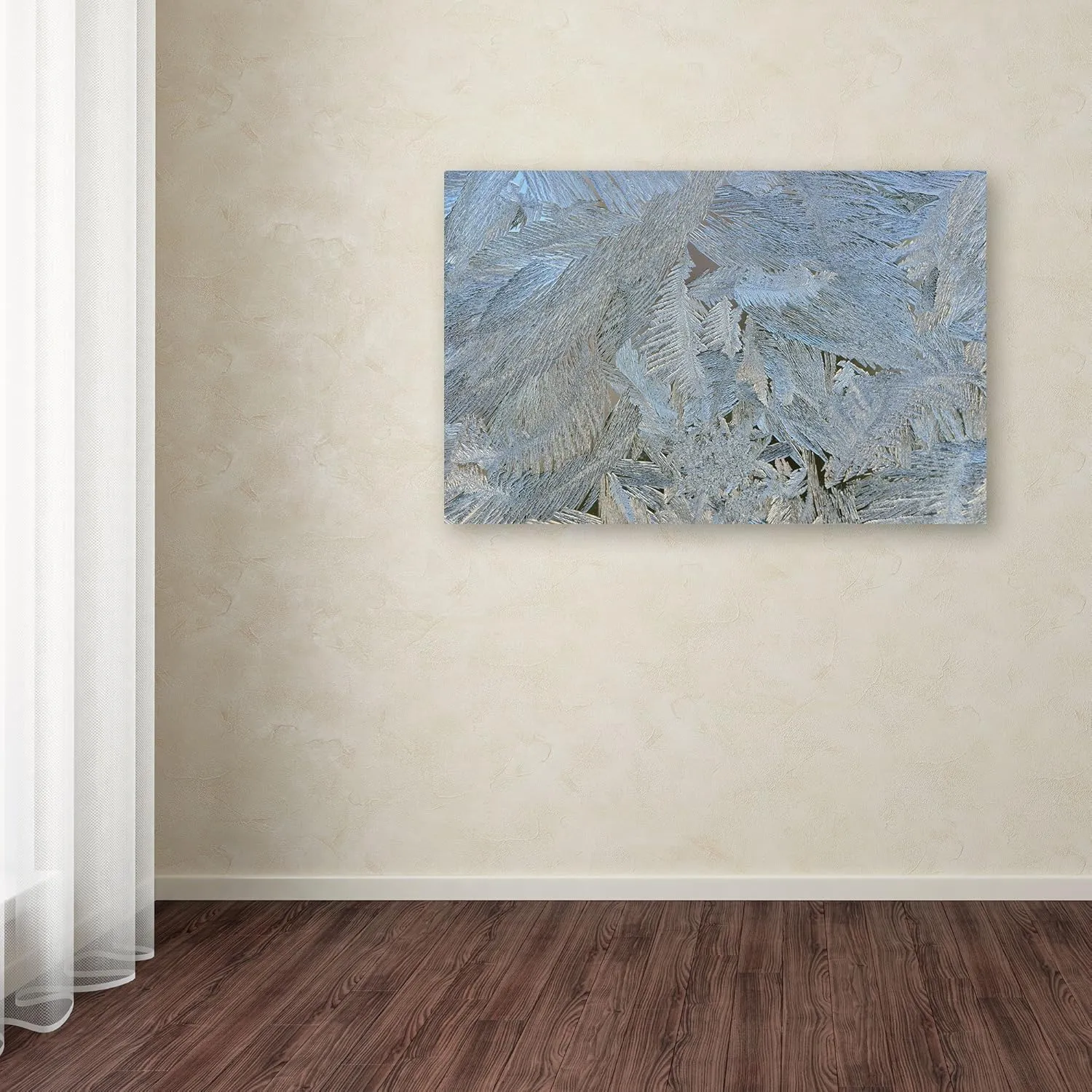 Trademark Fine Art 'Frost Pattern No.5' Canvas Art by Kurt Shaffer, 12 by 19-Inch