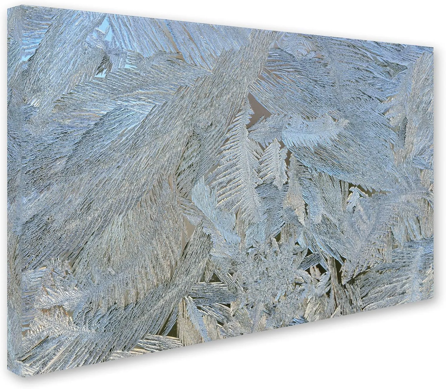 Trademark Fine Art 'Frost Pattern No.5' Canvas Art by Kurt Shaffer, 12 by 19-Inch