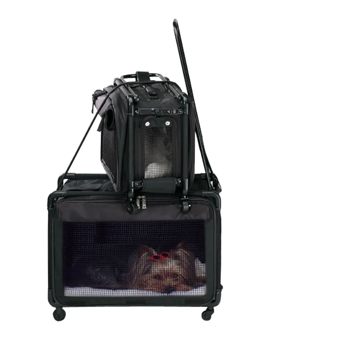 Tutto Lightweight Foldable Wheeled Pet Carriers U3