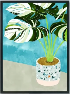 Variegated Monstera in Pot Art Print
